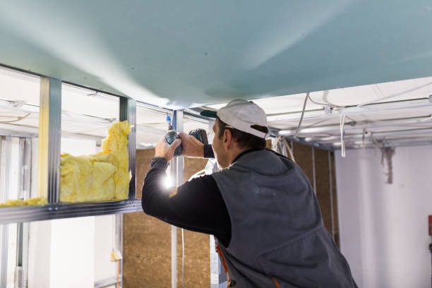 Best Cellulose Insulation  in Mounds, OK
